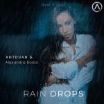 album image Rain Drops Rain Drops - Single