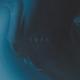 neon - idfc