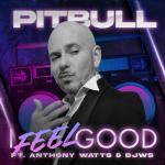 album image I Feel Good (71 Digits Remix)(NEW 2022) I Feel Good (feat. Anthony Watts & DJWS) - Single