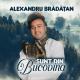 Alexandru Bradatan - Mama, mama, sfanta mea icoana