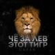 Gazan - ЧЕ ЗА ЛЕВ ЭТОТ ТИГР  (Masstero Remix Radio Edit )