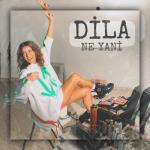 album image Ne Yani Ne Yani - Single