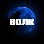 album image Волк Волк - Single