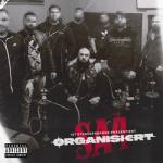 album image 187 Allstars ‘22 Organisiert