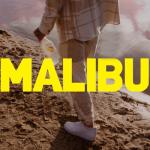 album image MALIBU MALIBU (feat. Zebraodzawsze & MtZ) - Single