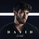 David - Лети моя птичка летай (Muzp.net)