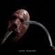 Slivko - Priest of Sodom