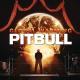 Pitbull feat Enrigue Iglesias - Pitbull feat Enrigue Iglesias Tchu Tchu Tcha 2013
