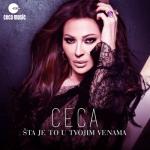 album image Кукавица Sta je to u tvojim venama