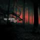 Black Sun Empire feat. Foreign Beggars - Dawn of a Dark Day