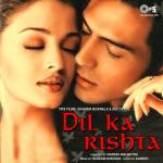 album image Saajan Saajan (From "Dil Ka Rishta") Dil Ka Rishta (Original Motion Picture Soundtrack)