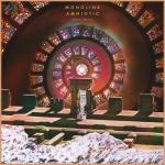 album image Huzur - Yalı Çapkını - muzikmp3indir.com Amniotic (Deluxe Version)
