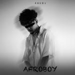 album image Love AFROBOY - EP