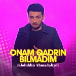 album image Onam qadrin bilmadim Onam qadrin bilmadim - Single