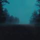 .diedlonely, hiræth - nibiru