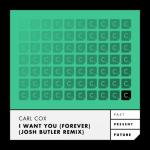 album image Narmada (Original Mix) TRIP Music Festival 2023
