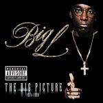 poster Platinum Plus (feat. Big Daddy Kane) The Big Picture