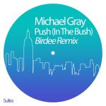 album image Push (In the Bush) (Birdee Remix) Push (In the Bush) (Birdee Remix)