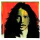 Audioslave - Like a Stone (Official)
