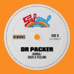 album image Such A Feeling (Dr Packer Reworks) Such A Feeling (Dr Packer Reworks)