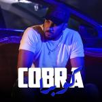 poster Cobra Cobra