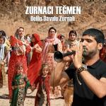 poster Ya habibi taala elhaani remix Delilo Davulu Zurnalı