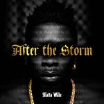 poster Hol' It After the Storm