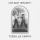 Car Seat Headrest - Drunk Drivers/Killer Whales