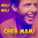 Cheb Mami - Parisien Du Nord (A C O Version)