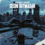 poster Sesini Duymadan Sesini Duymadan
