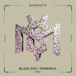 poster Black Evo (Original Mix) Black Evo / Powerful