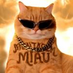 poster MONTAGEM MIAU (ULTRA SPED UP) (Бразильский Фонк) MONTAGEM MIAU (Бразильский Фонк)