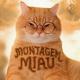 MONTAGEM MIAU - Ay, mi gatito miau miau tiktok [jamix.cc]