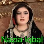 poster Ta Zama Dawana Pukhtane Zindabad