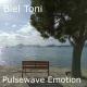 Biel Toni - Golden Dust