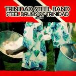 poster Perdoname Steel Drums of Trinidad